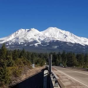 Meet your Posher, Diego